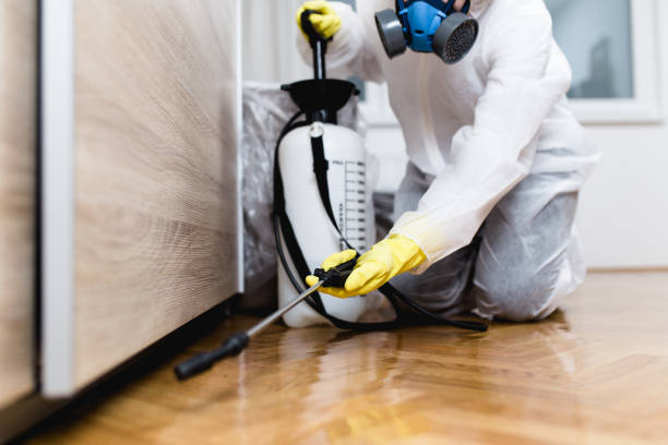 Best Termite Control Services  in Hood River, OR