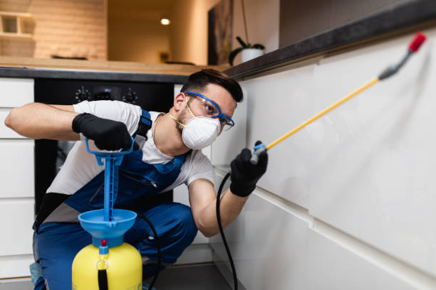 Best Bed Bug Extermination  in Hood River, OR