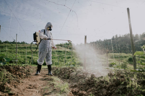 Best Commercial Pest Control Services  in Hood River, OR
