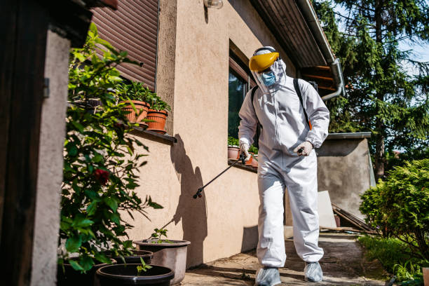 Best Pest Control Near Me  in Hood River, OR