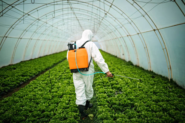 Best Emergency Pest Control  in Hood River, OR