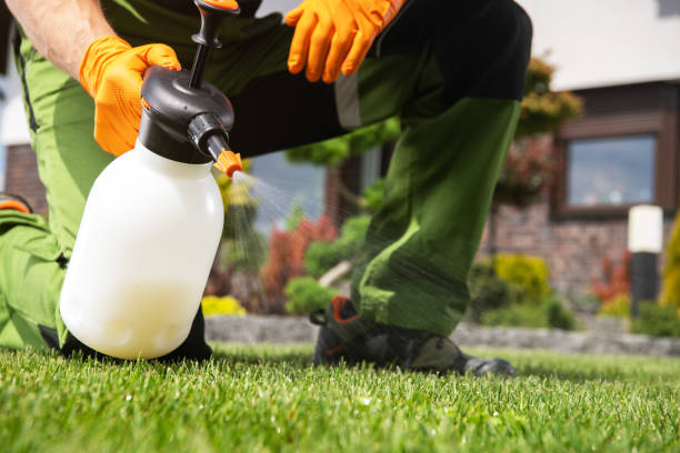 Best Local Pest Control Services  in Hood River, OR