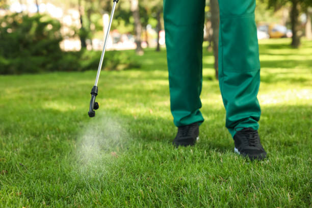 Best Flea Control Services  in Hood River, OR