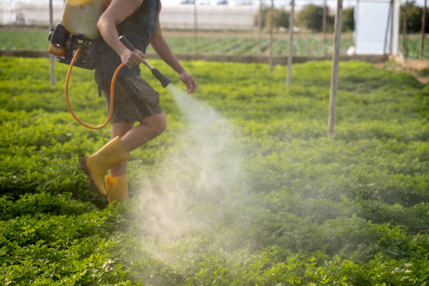 Best Pest Inspection Near Me  in Hood River, OR