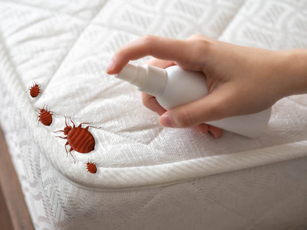  Hood River, OR Pest Control Pros