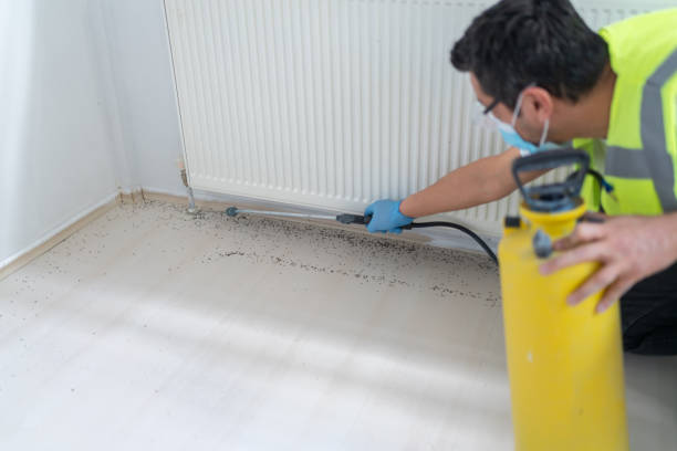 Best Flea Control Services  in Hood River, OR