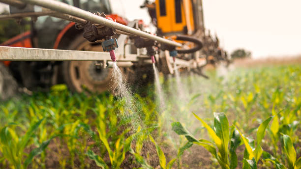 Best Mosquito Control Services  in Hood River, OR